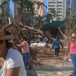 “Restauración Veloz: Acciones de Limpeza en el Auditorio ‘Eloína López Cano’ tras el Embate de Otis”