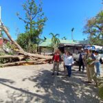 “Vientos de Cambio: Evaluación y Proyecto de Restauración para la Casa de Los Vientos”