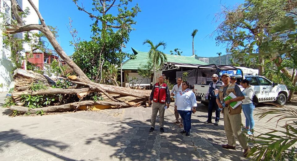 Renovación Cultural en Marcha Colaboración para la Remodelación del Centro Cultural Acapulco