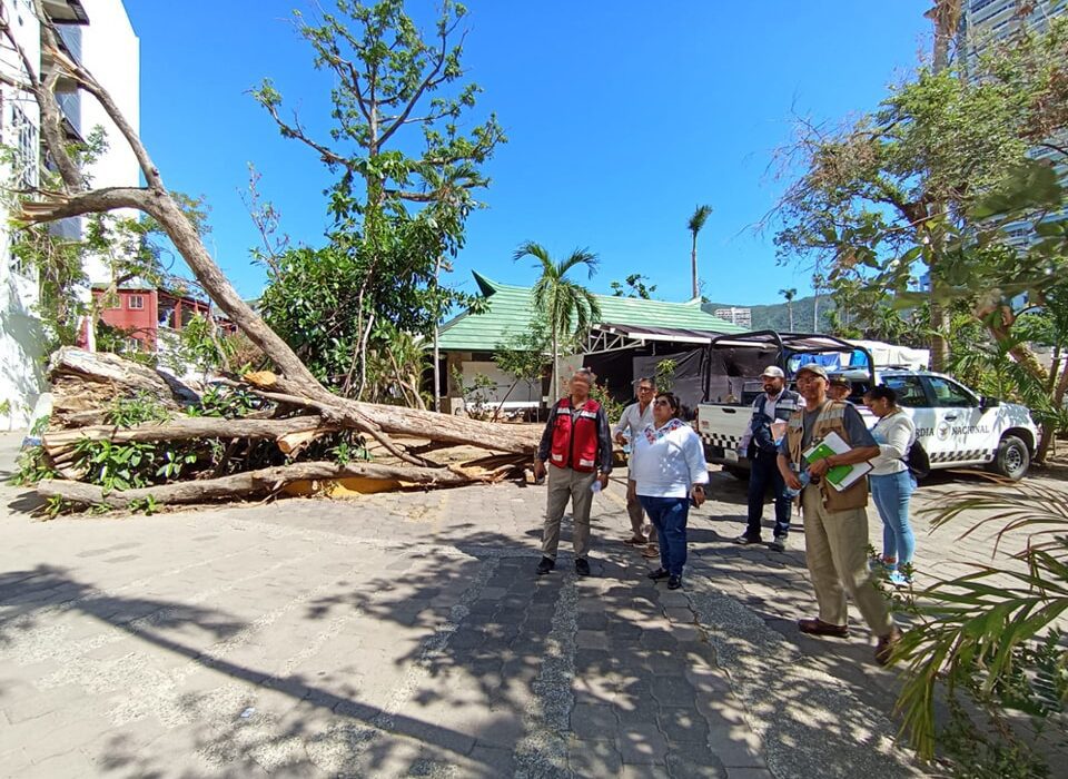 Renovación Cultural en Marcha Colaboración para la Remodelación del Centro Cultural Acapulco